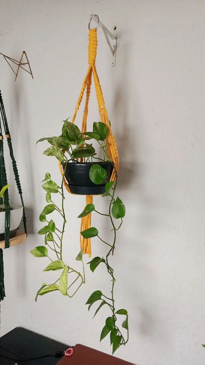 Suporte de plantas macramé - Foto 4