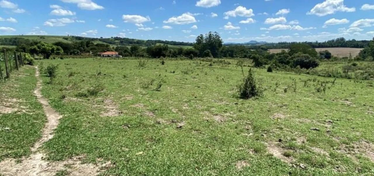 Vende-se Sítio de 4.8 alqueires em Carlopolis PR - Foto 2