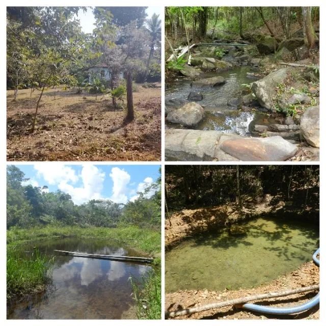 VENDE-SE TERRENO C0M 6,5 ha - MARAÚ - Foto 2