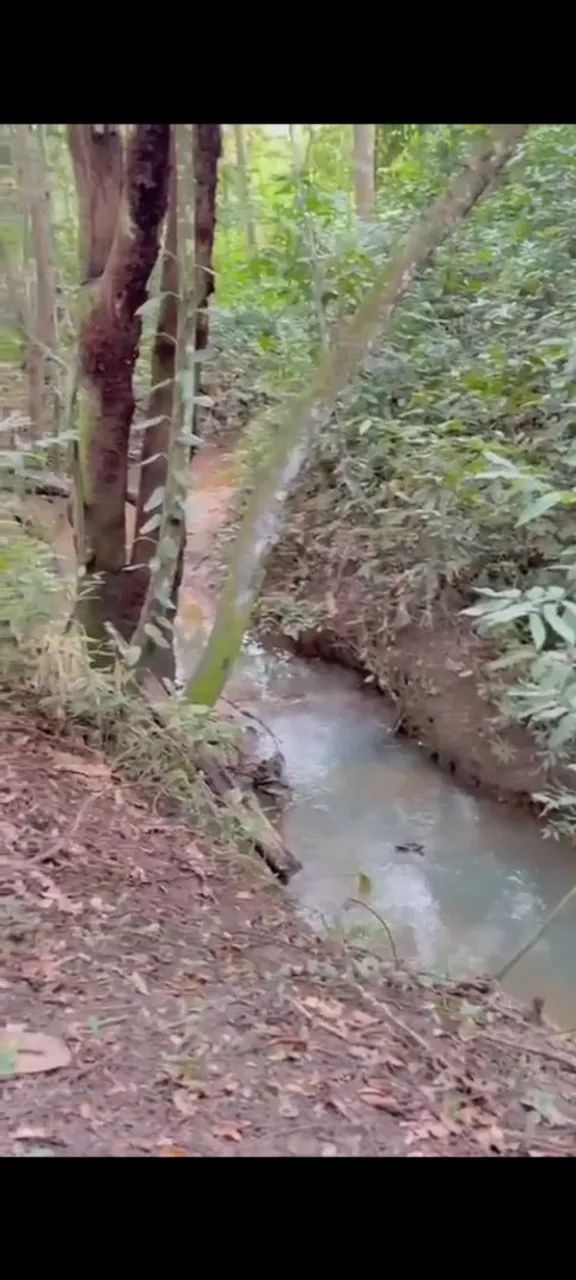 Paraíso particular ? - Foto 4