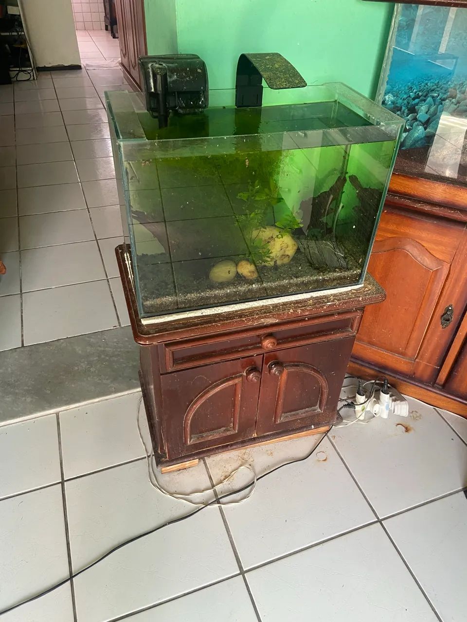 Vende-se aquários  - Foto 3