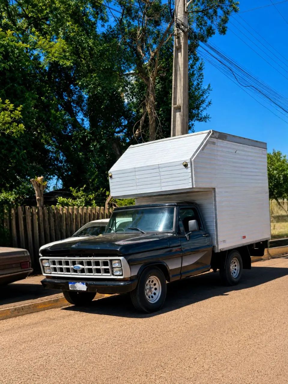 Ford F-1000 1989