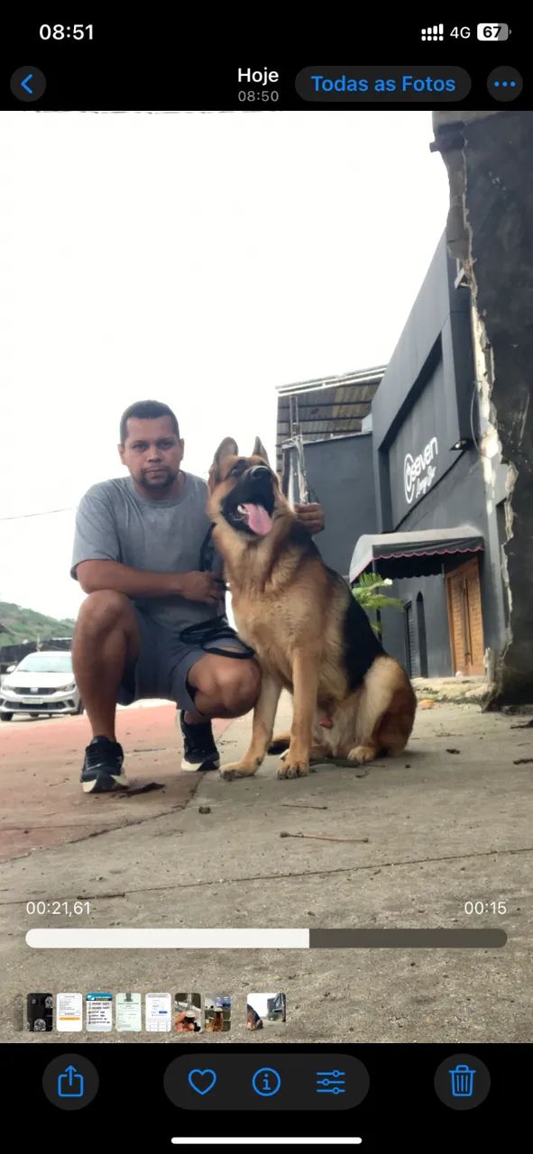 ADESTRAMENTO DE CÃES - Foto 4