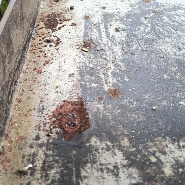 Chapa para hamburguer - Edanca - Foto 4