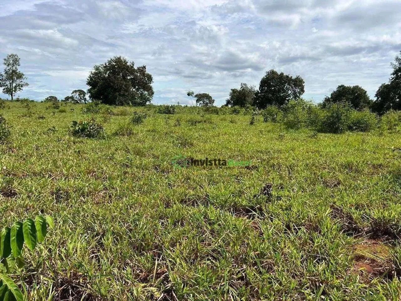 Fazenda de 264 alqueires com aptidão agrícola em Dois Irmãos Tocantins - Foto 2