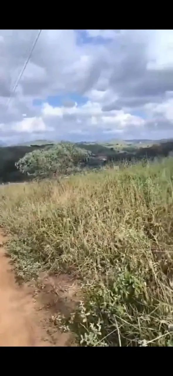 Chacara em pontal  - Foto 2