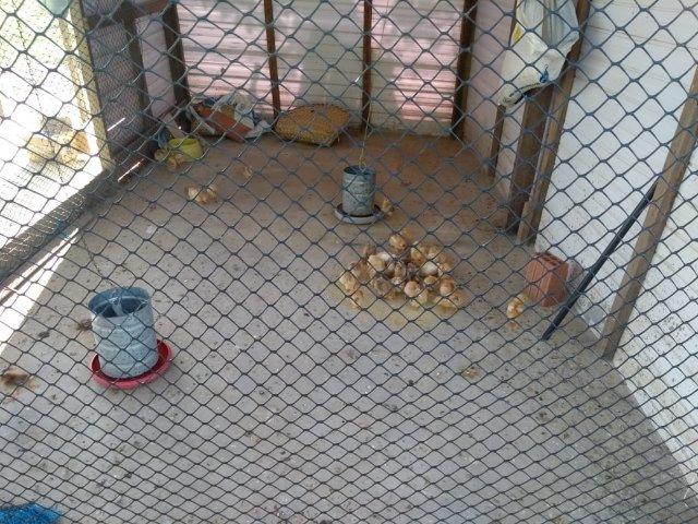 Sitio - Foto 15