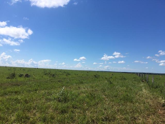 Fazenda Dupla Aptidão em Jangada - Foto 3