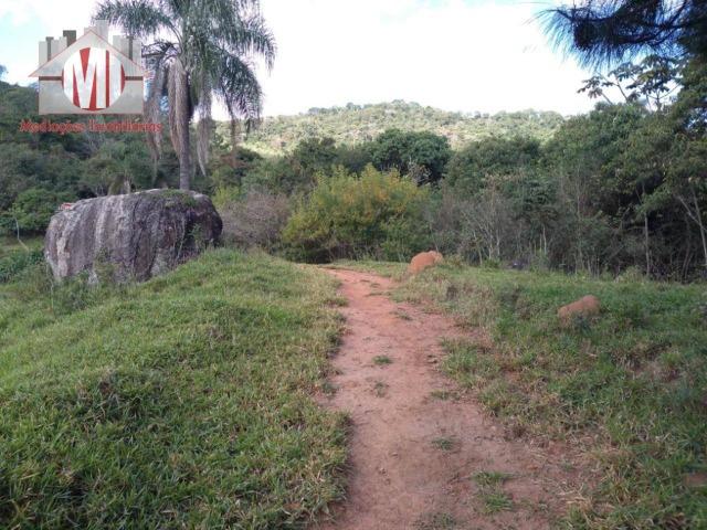 Lindo sítio com 02 alqueires, nascente, perto da cidade, piscina em Pedra Bela sp - Foto 3