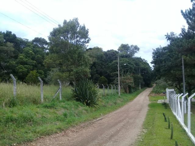 Terreno 15 min. de Piraquara/São Jose Só R$ 251.500,00 Ac. Troca 280 mil - Foto 5
