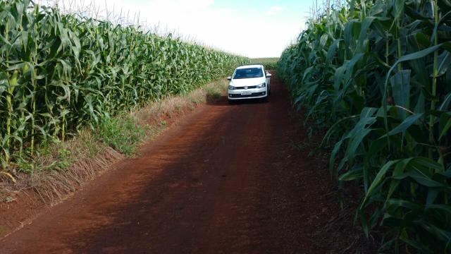 Fazenda Arrendamento 165 Alq Parana - Foto 9