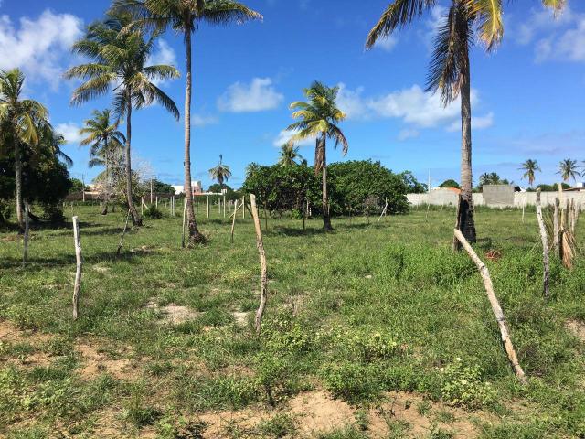 Terreno de 360m2 por R$90mil direto com o proprietário *15 - Foto 2