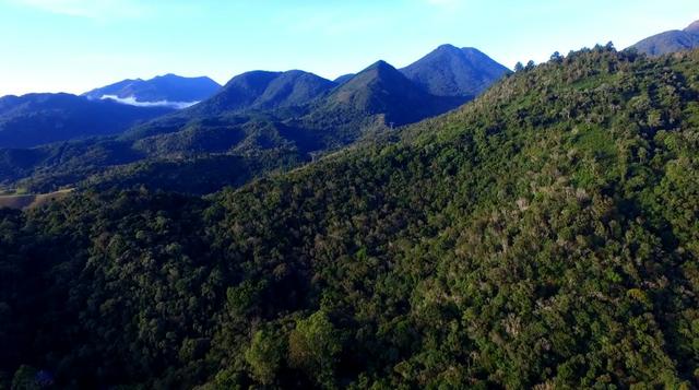 Fazenda para compensação e reserva legal