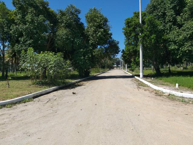 Cód 107 Lotes em Unamar-Cabo Frio !!!! - Foto 3