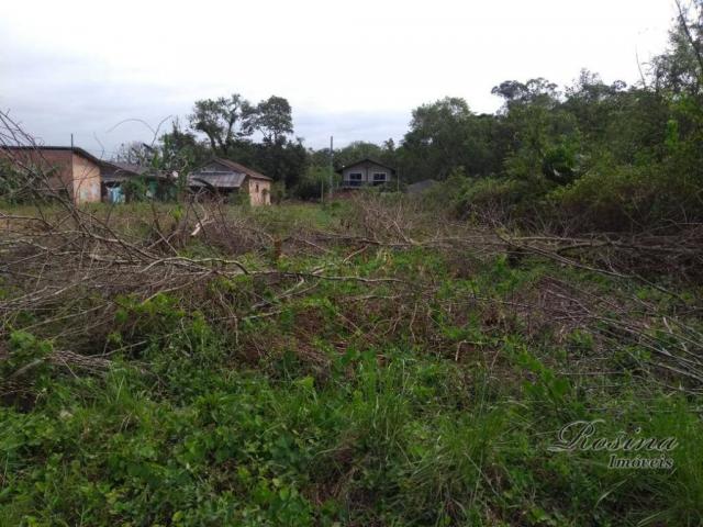 Terreno à venda, 360 m² por r$ 45.000 - vila das palmeiras - morretes/pr - Foto 3