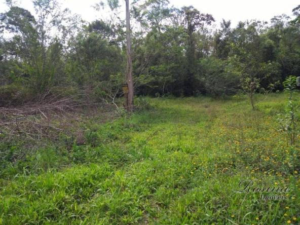 Terreno à venda, 360 m² por r$ 45.000 - vila das palmeiras - morretes/pr - Foto 7