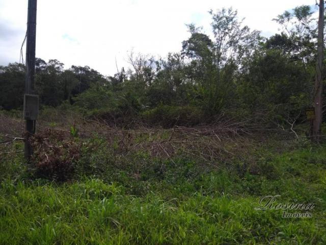 Terreno à venda, 360 m² por r$ 45.000 - vila das palmeiras - morretes/pr - Foto 8