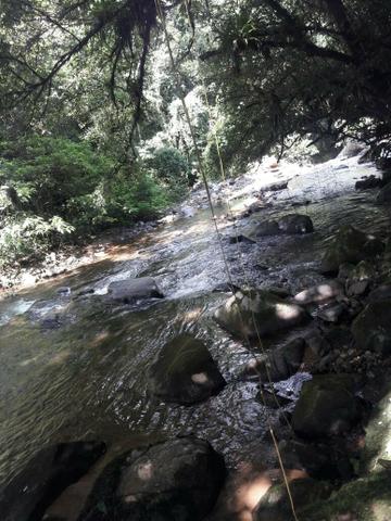 Vendo ou troco chácara sítio - Foto 5