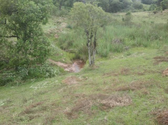 Chácara em Ana Rech - cód:267264 - Foto 3
