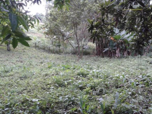Terreno à venda em Vila nova, Joinville cod:14721N - Foto 2