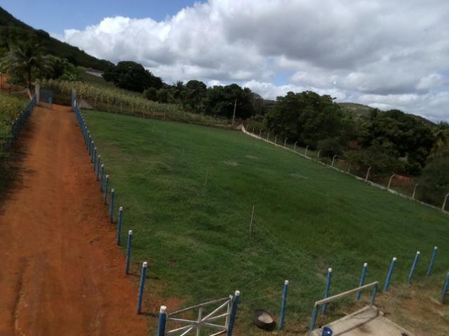 Terreno ou Rancho - Foto 17