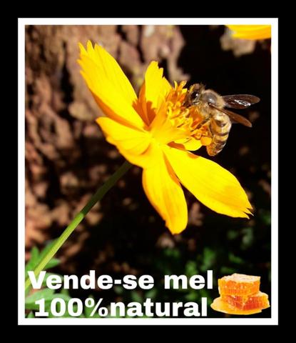 Vende se mel