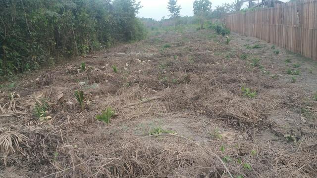 Vendo terreno na comunidade poço das antas km 27