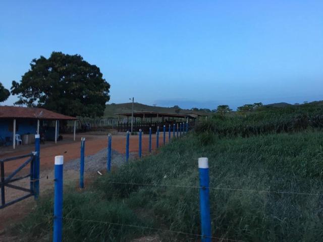 Terreno ou Rancho - Foto 12