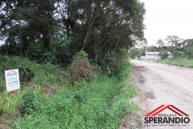 Terreno c/ 360m² (15x24m), na rua 1340, baln. itapoá - Foto 2