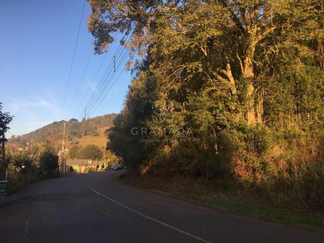 LINDA ÁREA DE TERRA NA LINHA ÁVILA - Foto 6