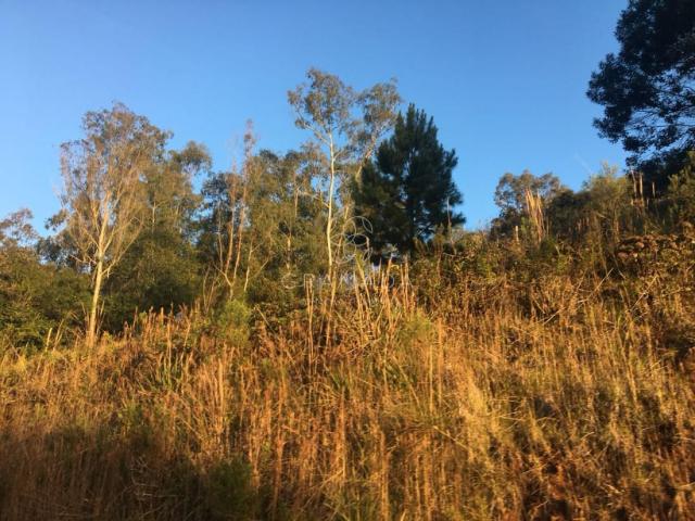 LINDA ÁREA DE TERRA NA LINHA ÁVILA - Foto 4