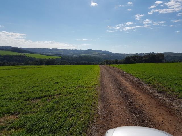 8345 | Sítio à venda em Rural, Santa Maria - Foto 7