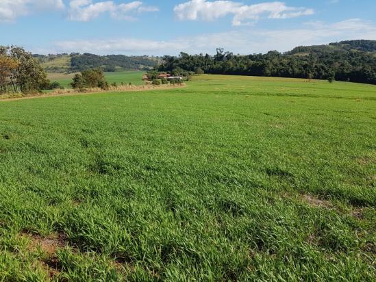 8345 | Sítio à venda em Rural, Santa Maria - Foto 2