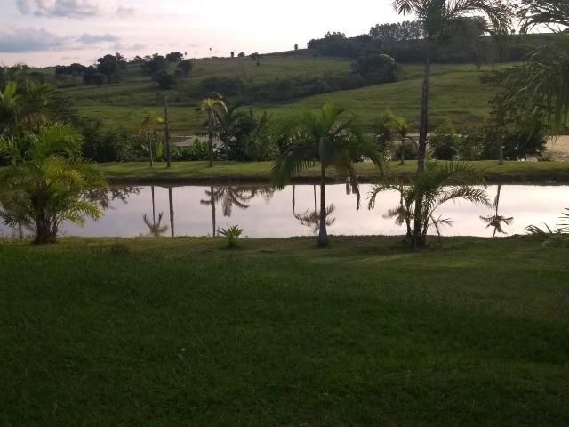 Vende-se Chácara a Beira da Represa em Carlópolis PR - Foto 20
