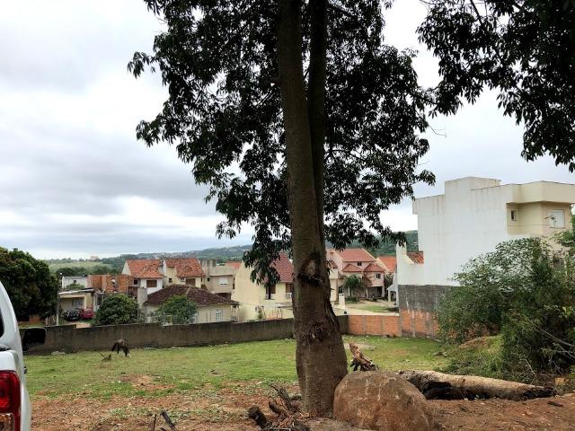 Terreno zona sul - 6 x 24 (oportunidade única) com escritura - Foto 4