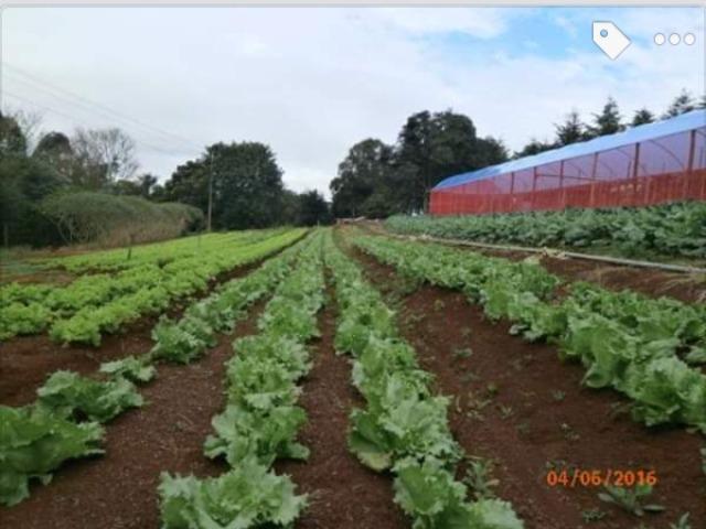 Sitio - Foto 4