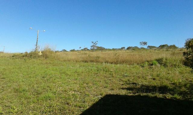 Chácara com área de 4000m², 14 km de Alto Paraíso de Goiás - Foto 12