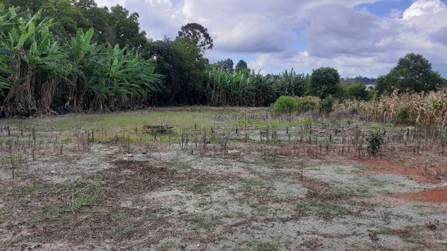 Terreno 2.400m2 - Vila Nova Prudentópólis - Foto 4