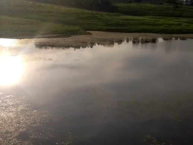 Vende-se Chácara a Beira da Represa em Carlópolis PR - Foto 4