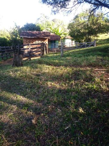 Sítio com 5 hectares, em São Sebastião do Rio Verde! - Foto 15