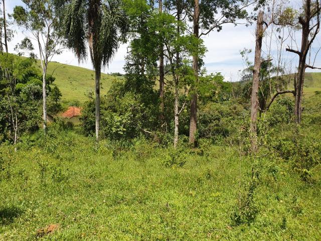 Sítio com 7 Alqueires, estrada do Turvo - Foto 6