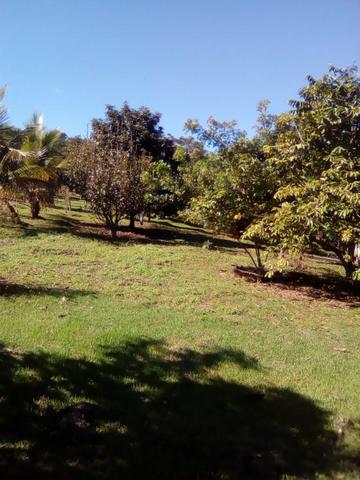 Vende-se Chácara a Beira da Represa em Carlópolis PR - Foto 12