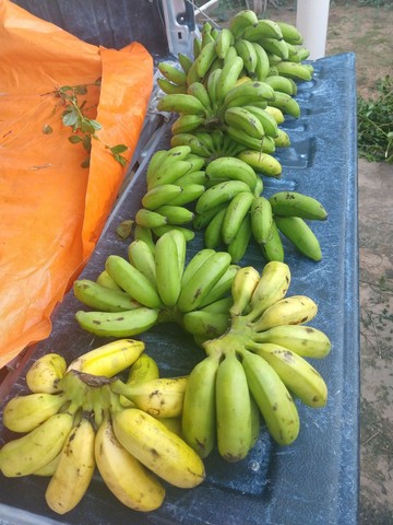 Banana Maçã r$ 4.50 kg