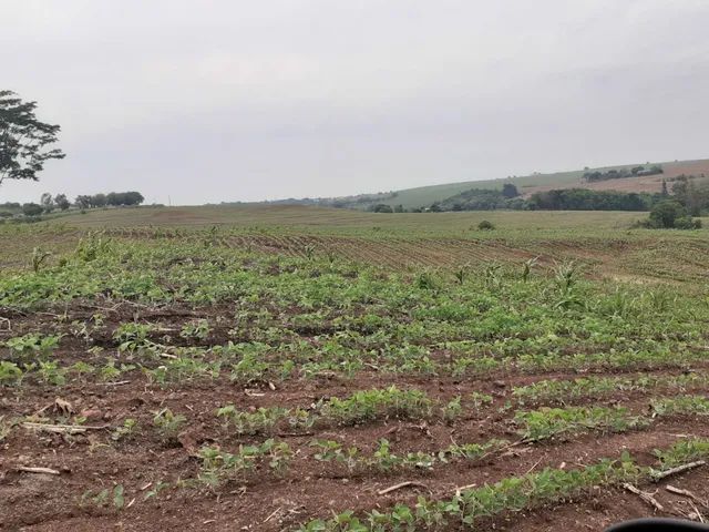Sitio 10 alqueiro 8 de planta com prazo bom - Foto 2