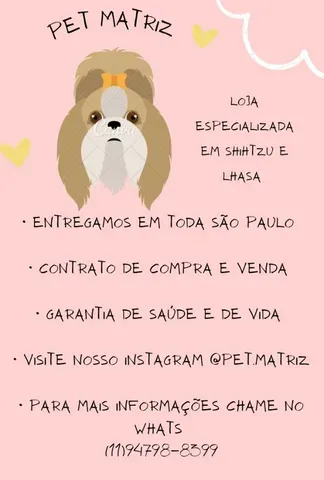 24 Raças de Cachorros Grandes para Escolher a Ideal - Amor aos Pets