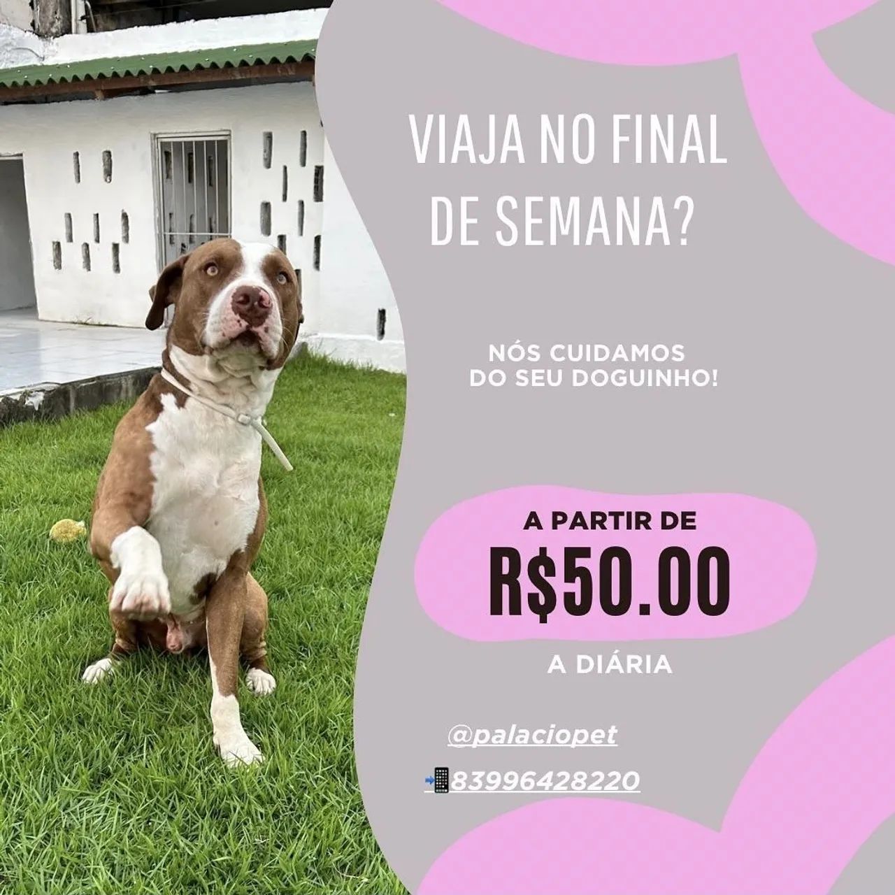 Hotel, Creche, Banho e Tosa Palacio Pet - Foto 4