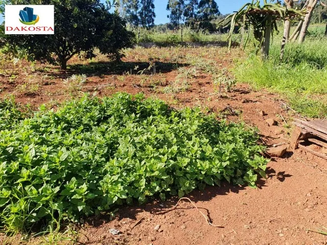 6380 Metros quadrados linda chacara dentro da cidade com mais de 500 pé de fruta