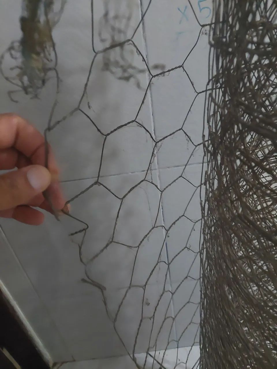 Tela de galinheiro ou cerca 25 metros Amargosa 