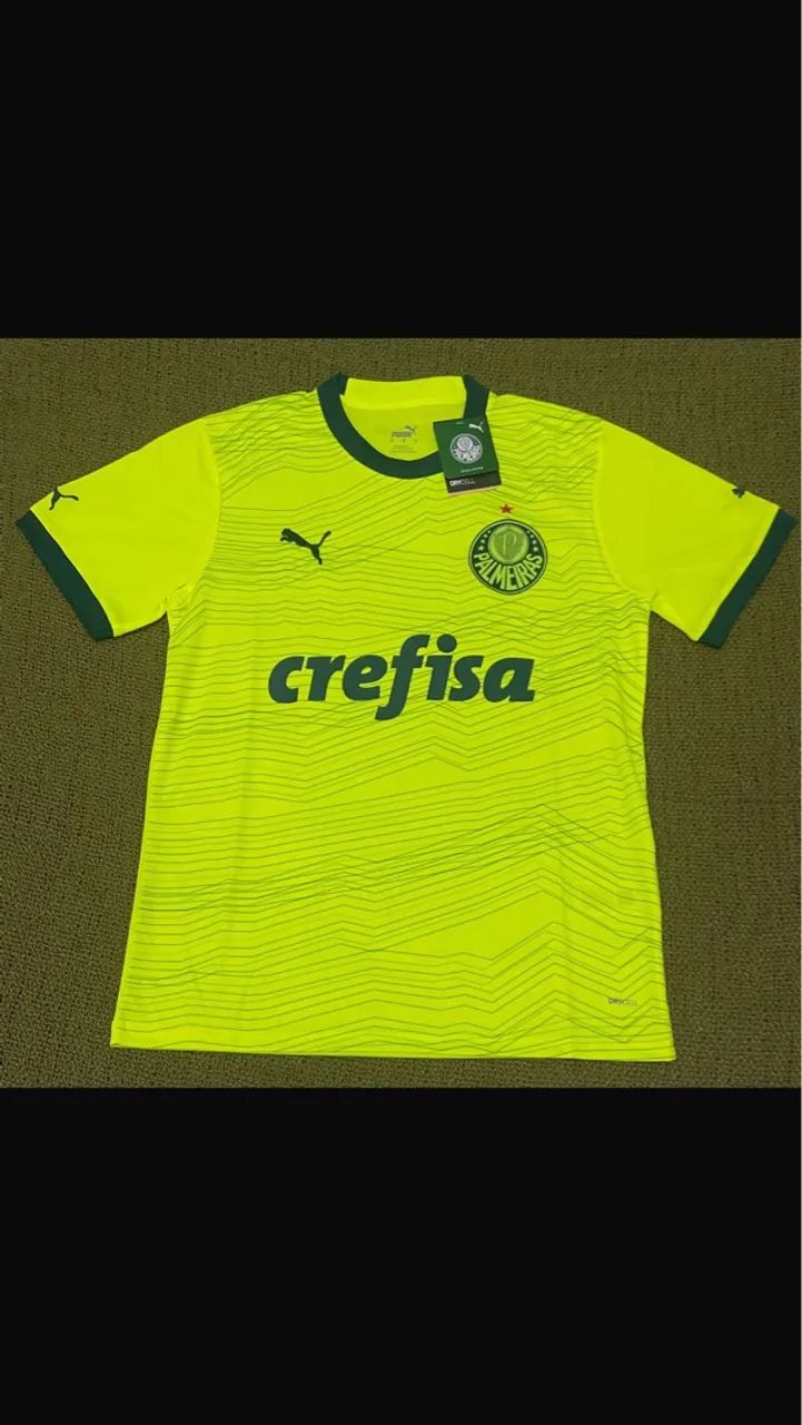 Camisa do Palmeiras lll 2023/2024