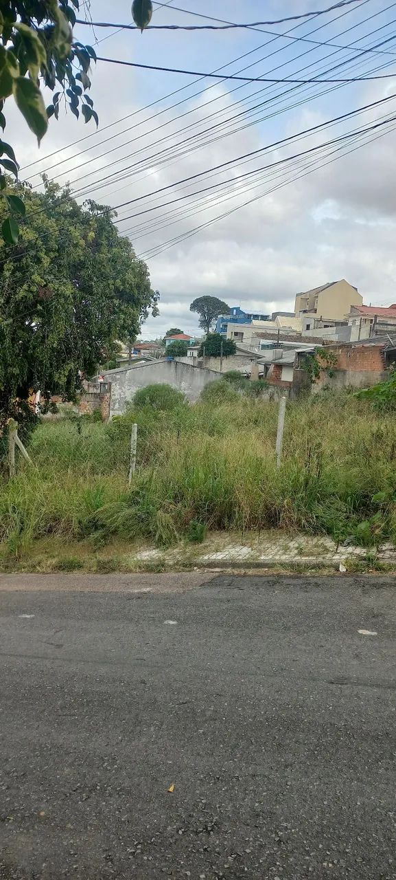 Limpeza de terreno.